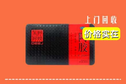 锡林郭勒正蓝旗回收阿胶