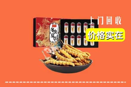 锡林郭勒正蓝旗回收虫草